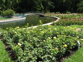 Rosarium Baden bei Wien