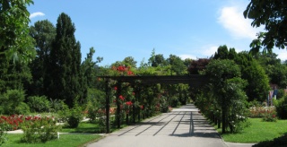 Rosarium Baden bei Wien