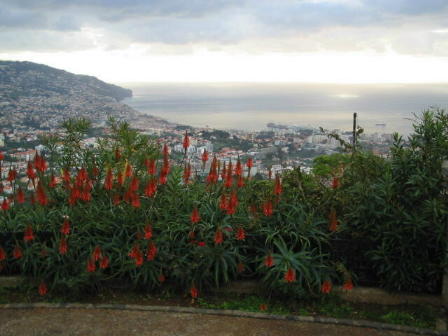 Madeira