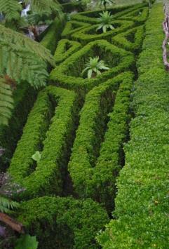 Madeira