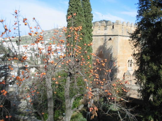 Andalusien - Gärten