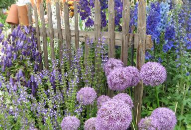 Gartengestaltung Bilder Bauerngarten