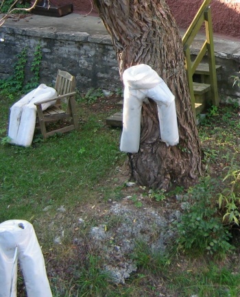 Kunst am Baum